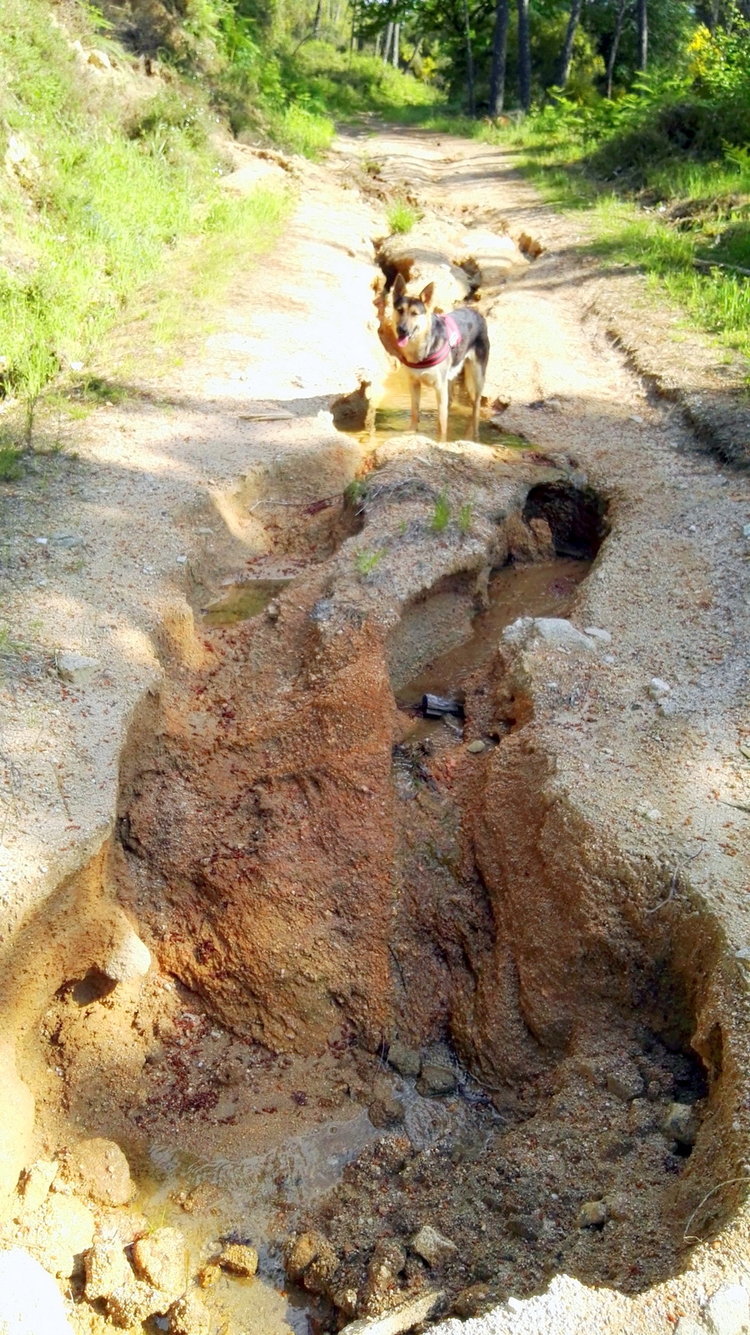 Uno de los socavones que presenta el camino.